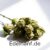 Hilft CBD gegen Bluthochdruck