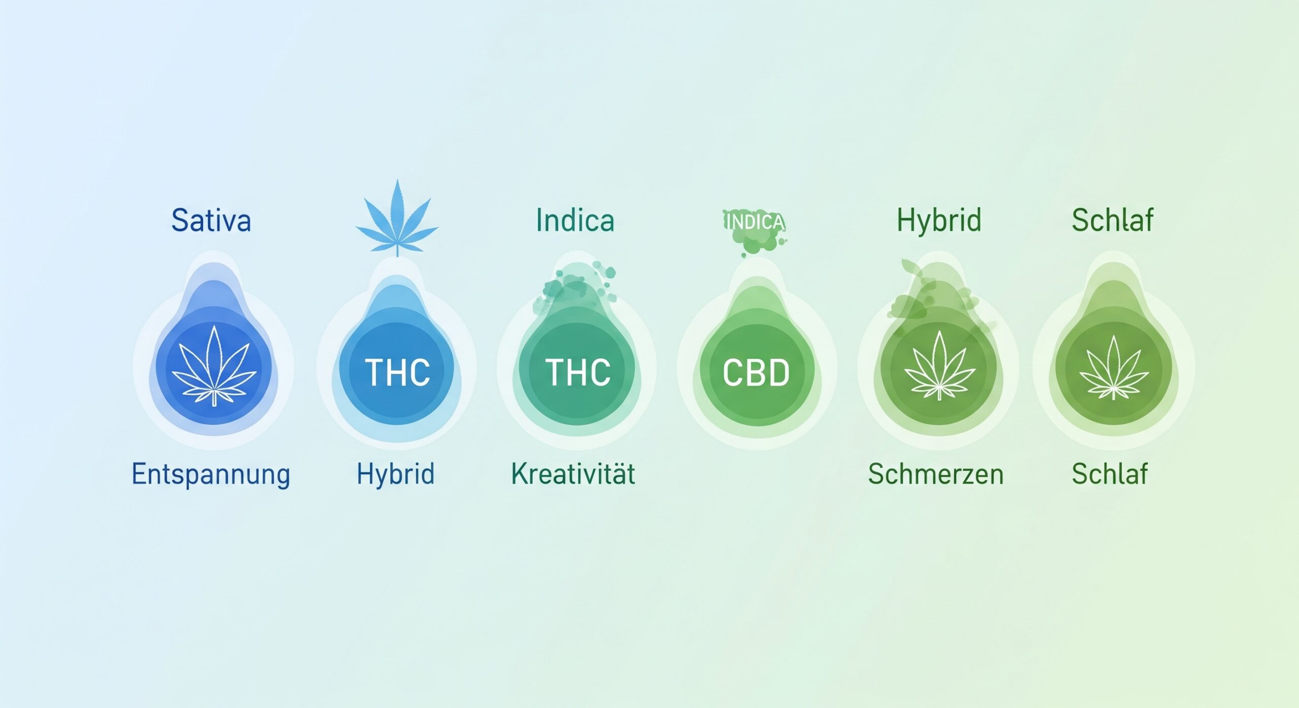 Cannabis Sorten Wirkung im Vergleich