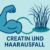 Einnahme Creatin Haarausfall