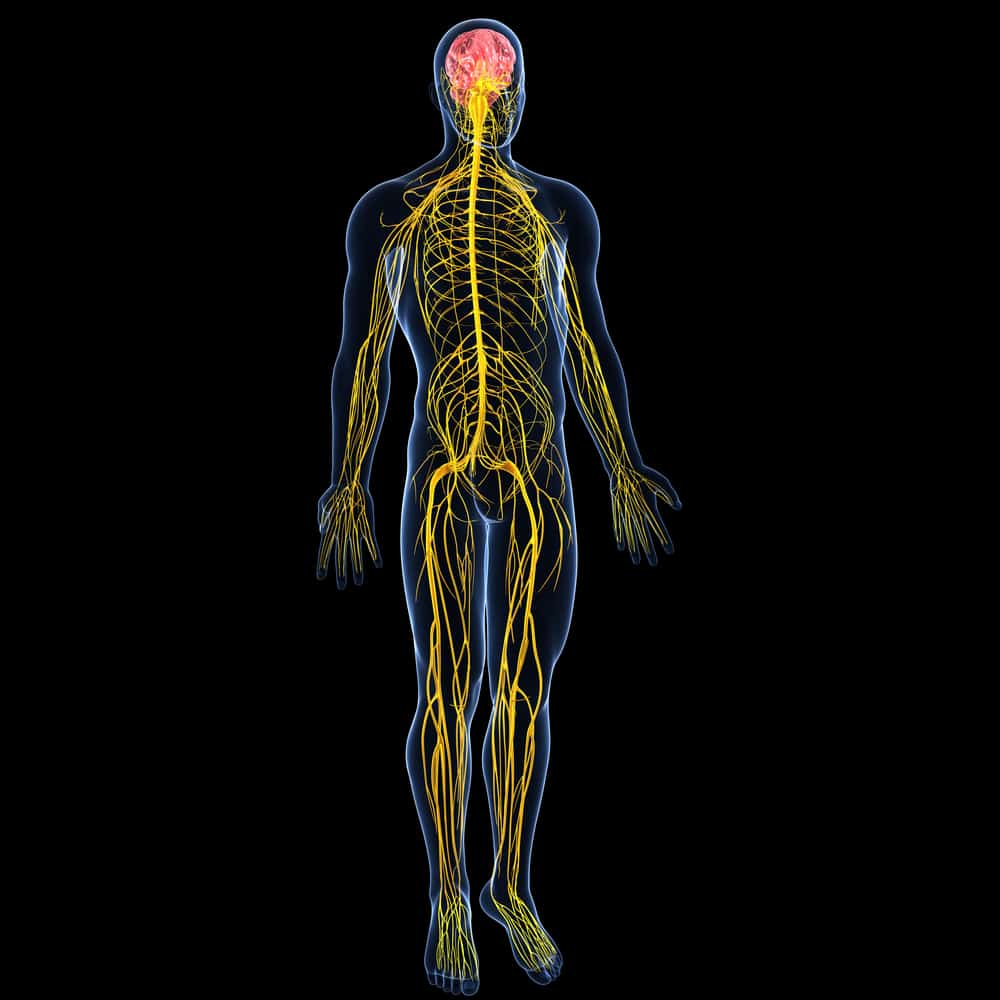 Was ist eine Neuritis und welches sind die ursachen Symptome und Behandlungsoptionen einer Nervenentzündung