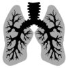 Husten Rasseln beim Atmen Bronchitis oder Lungenfibrose?