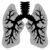 Husten Rasseln beim Atmen Bronchitis oder Lungenfibrose?