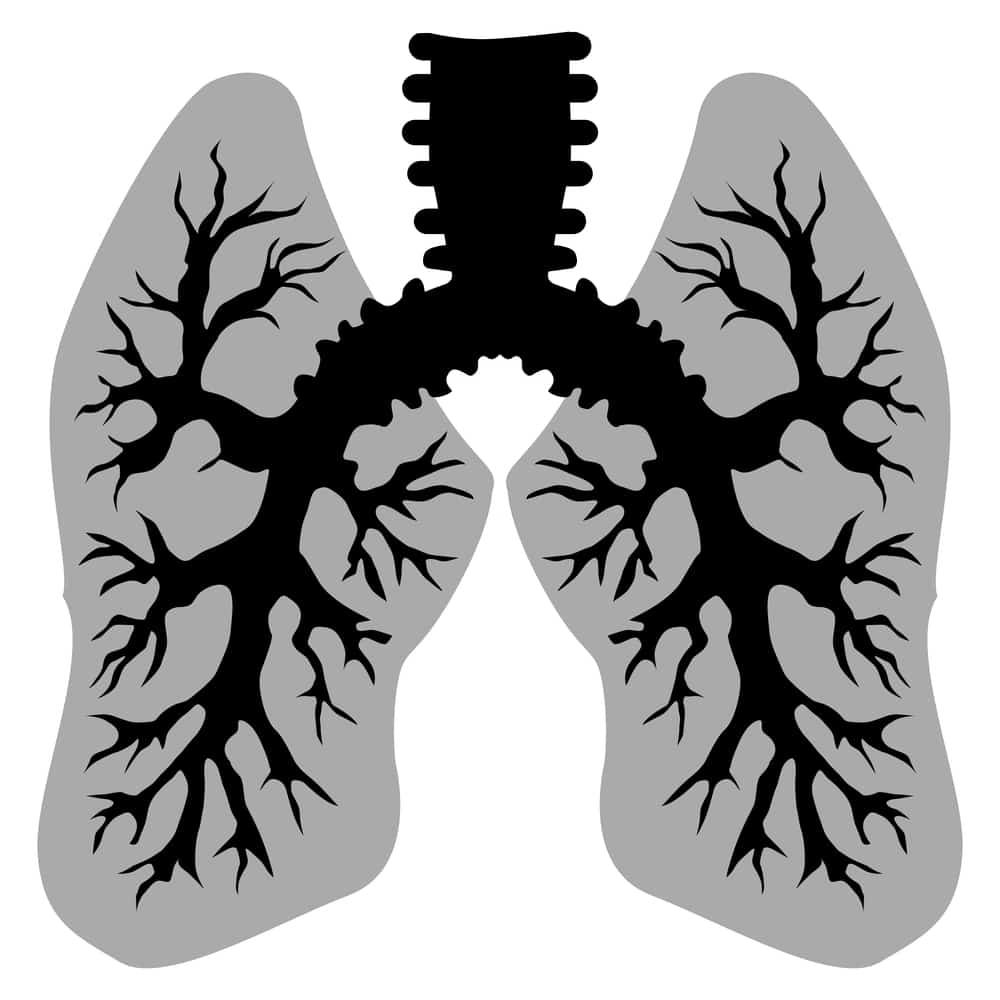 Husten Rasseln beim Atmen Bronchitis oder Lungenfibrose?