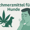 Beste Schmerzmittel für Hunde rezeptfrei