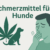 Beste Schmerzmittel für Hunde rezeptfrei