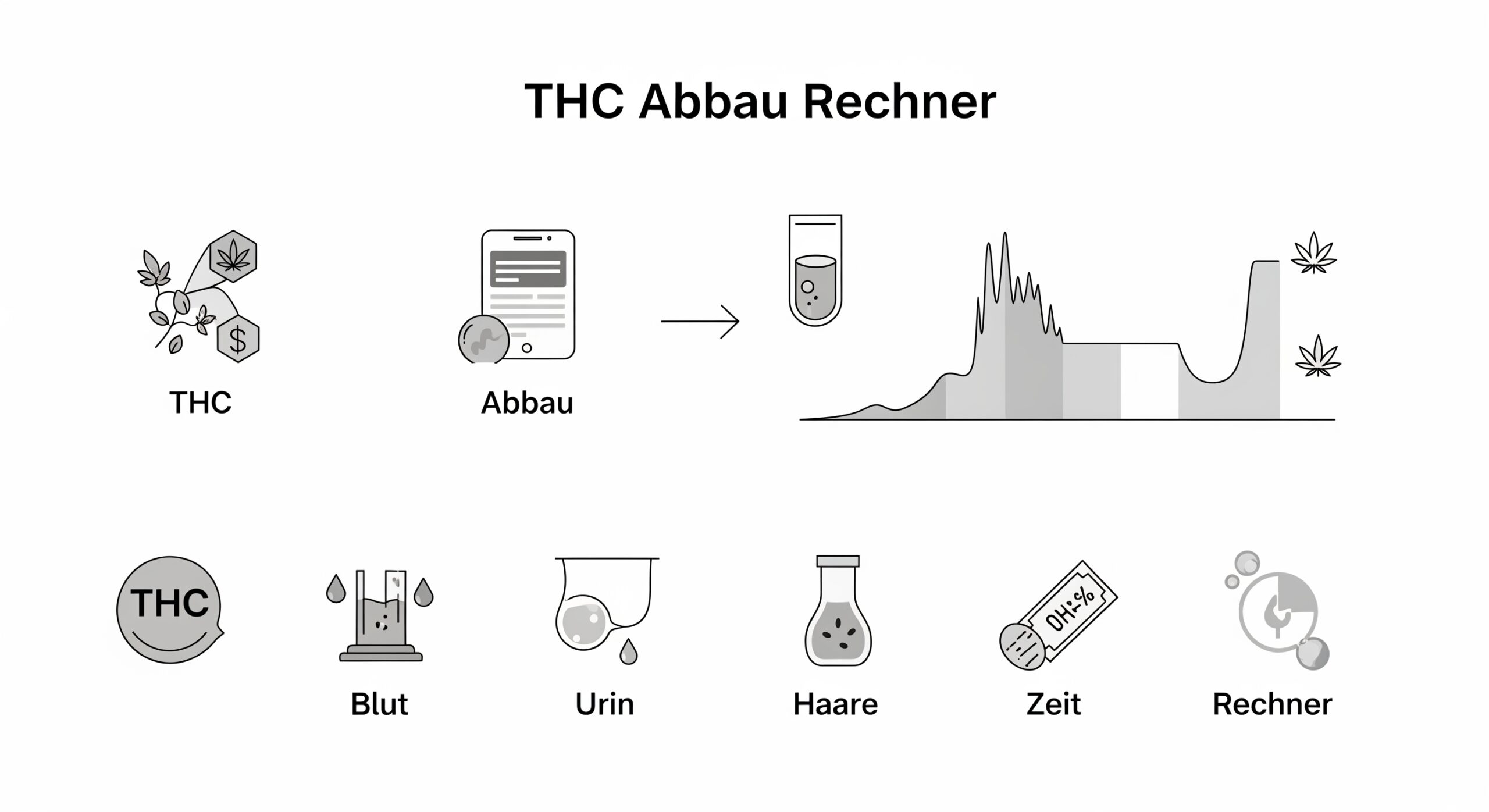 THC Abbau Rechner THC-COOH THC-COOH Abbau Rechner