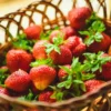 Wieviel Erdbeeren am Tag gesund