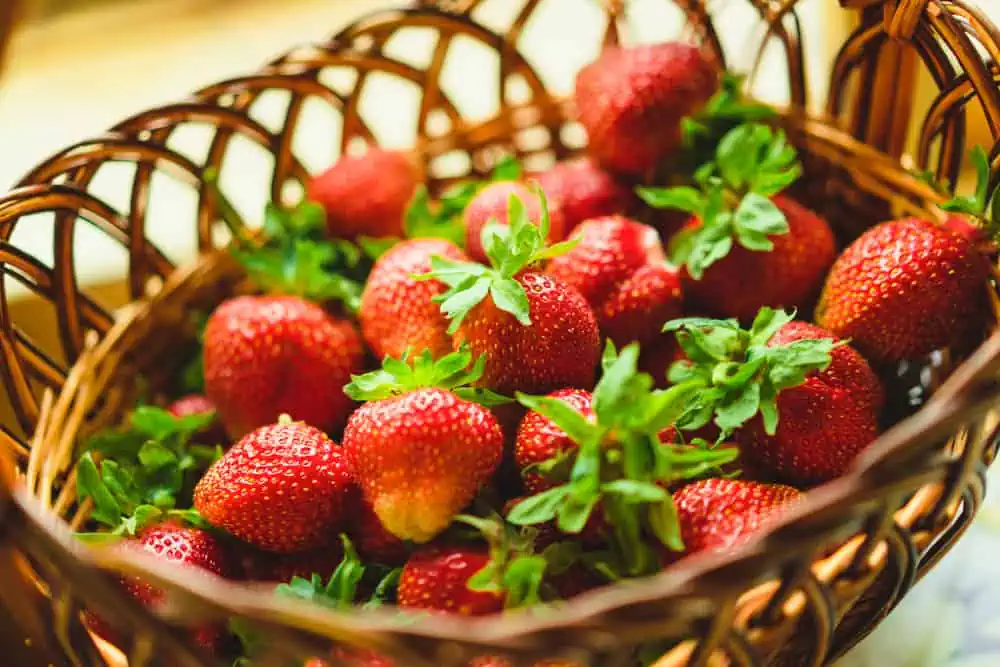 Wieviel Erdbeeren am Tag gesund