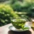 Wie viele Tassen grüner Tee am Tag gesund oder schädlich