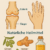 Wunderwaffe gegen Arthrose Finger Knie